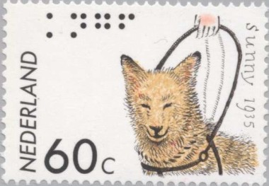 50e Verjaardag blindegeleidehond