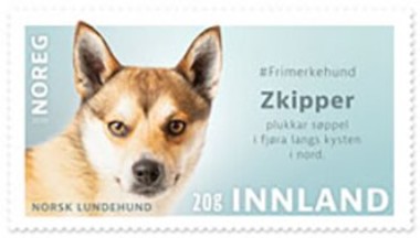 Zkipper