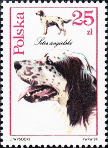 Engelse Setter