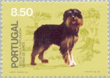Portugese Herder