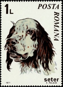 Setter