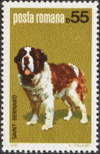 Sint Bernard