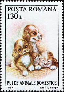 Puppies