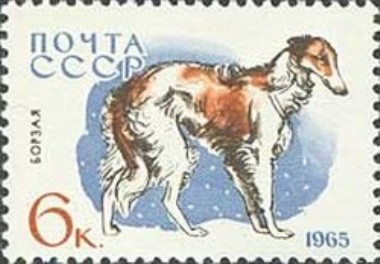SU3025
