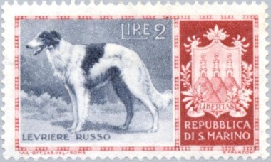 Borzoi