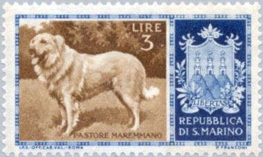 Maremma Sheepdog