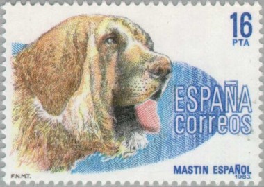 Spaanse Mastiff