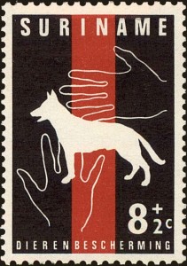 Beschermhond