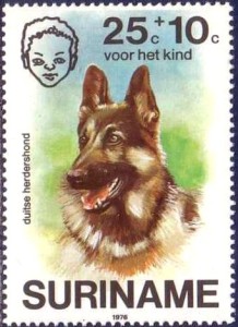 Duitse Herder