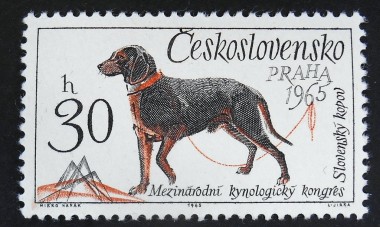Slowaakse Kopov