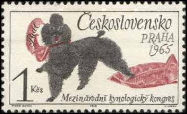 Poedel