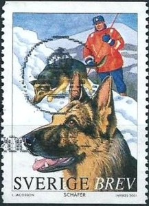 Duitse Herder