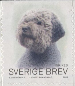 Lagotto Romagnolo