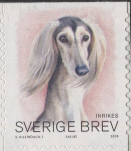 Saluki