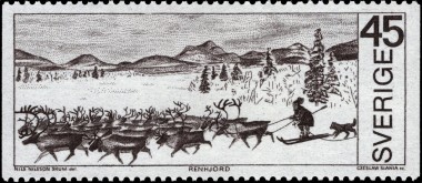 Sledehonden