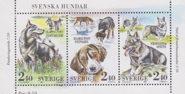 Diverse Honden
