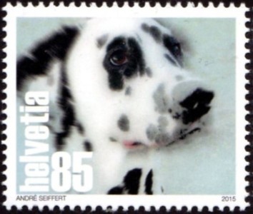 Dalmatier