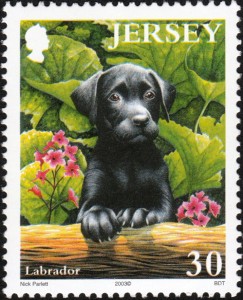 Puppy