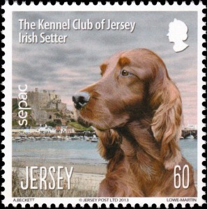 Ierse Setter