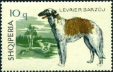 Russische Wolfshond