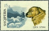 Sheep Dog