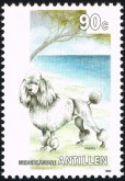 Poedel