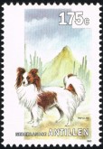 Papillon