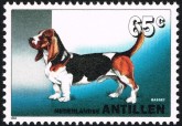 Basset Hound