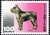 Bouvier