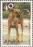 Creoolse Domestic Dog