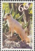 Creoolse Domestic Dog