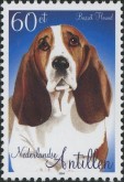 Basset Hound