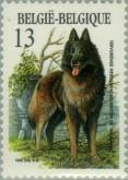 Tervurense Herder
