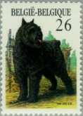 Bouvier