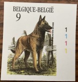 Belgische Herder