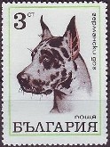 Deense Dog
