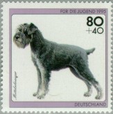 Schnautzer