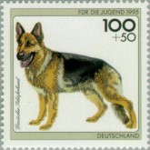 Duitse Herder