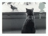 Kat wacht op vogel