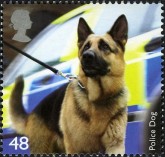 Politie Hond