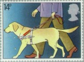 Blindegeleide Hond