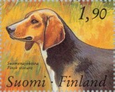 Finse Flushing Dog