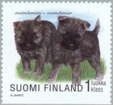 Cairn Terrier