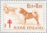 Finse Spitz