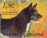 Karelian Beer Dog