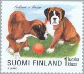 Boxer