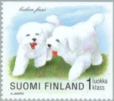 Bichon Frise