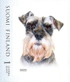 Terrier