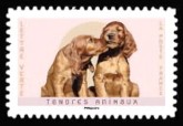 Honden