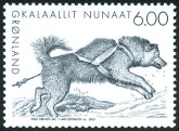 Greenland Dog